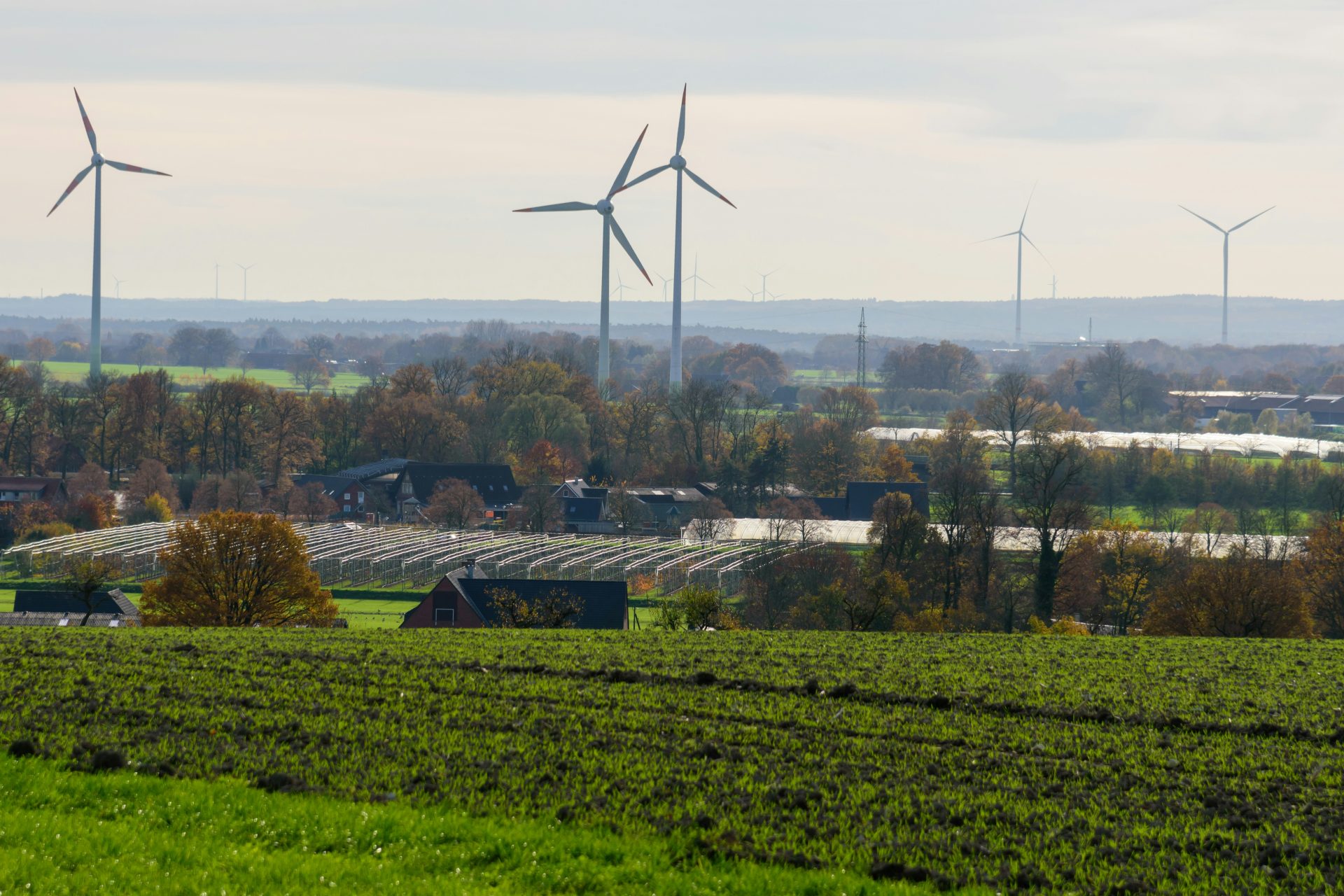Windkraftanlagen erheben sich über einer ländlichen Landschaft mit Gewächshäusern.